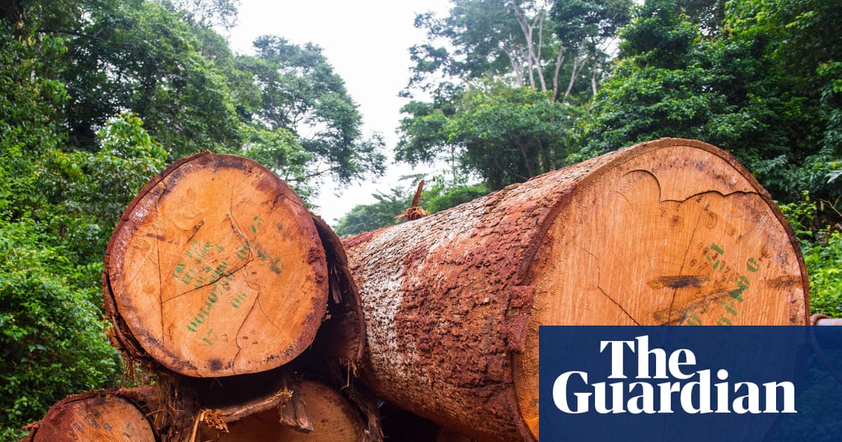 Africa's forests transformed from carbon sink to carbon source, study finds
