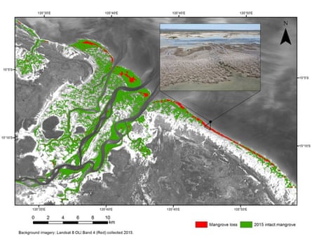 Mangroves losses (red) and surviving mangroves (green) around the shoreline and mouth of the Limmen Bight river.