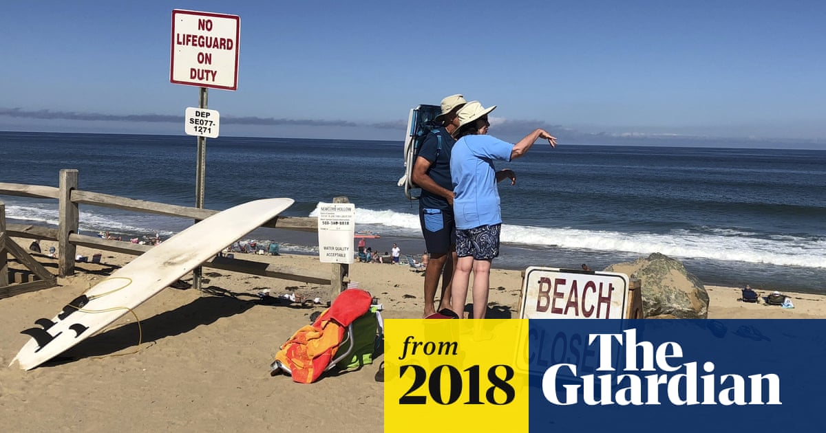 Cape Cod Shark Attack Man Dies From Injuries Suffered In Incident