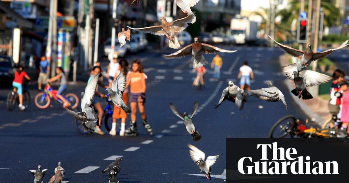London considering car-free days in bid to tackle air pollution | Environment | The Guardian