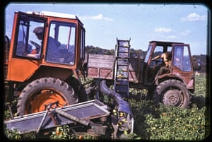 Workers in the field in glorious colour