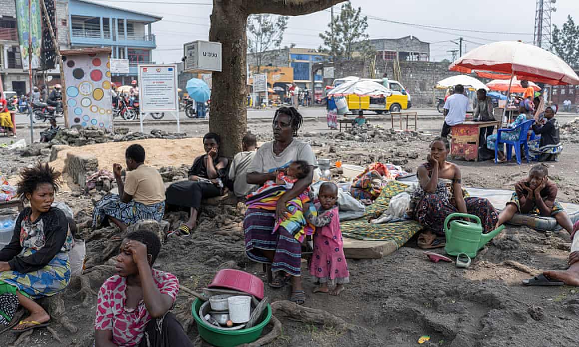 People sitting under a tree