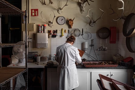 An archaeologist cleans fragments of bones