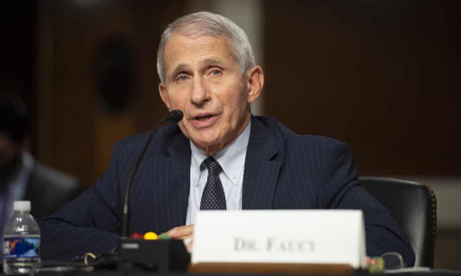 Dr Anthony Fauci speaks at a Senate hearing in Washington DC on 4 November.