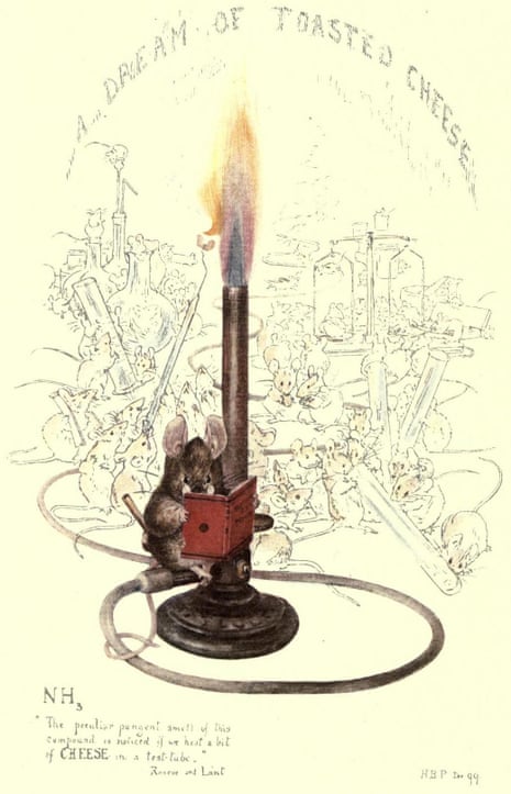 A rarely seen very early Beatrix Potter drawing, A Dream of Toasted Cheese was drawn to celebrate the publication of Henry Roscoe’s chemistry textbook in 1899.