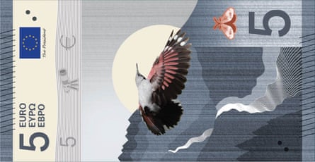 A €20 note design featuring an illustration of a wallcreeper