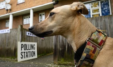 A dog outside a polling station for the London mayor election
