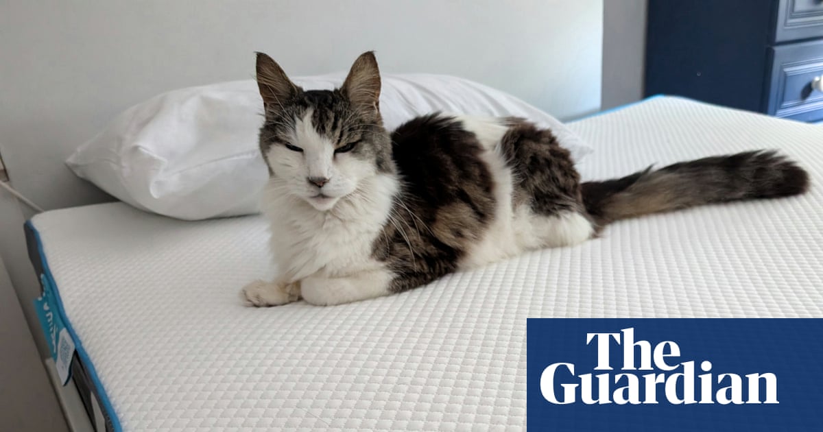 The best mattress toppers for a more comfortable night's sleep, tested