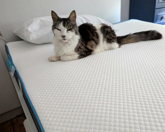The best mattress toppers for a more comfortable night’s sleep, tested