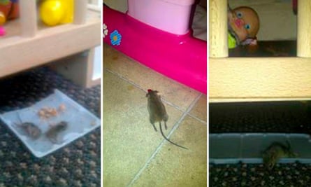 Mice and rats near children’s toys.