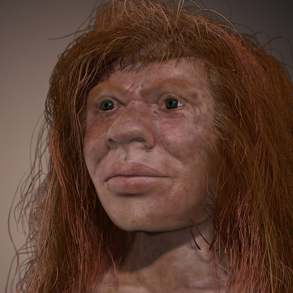 Meet Denny, the ancient mixed-heritage mystery girl | Evolution | The Guardian