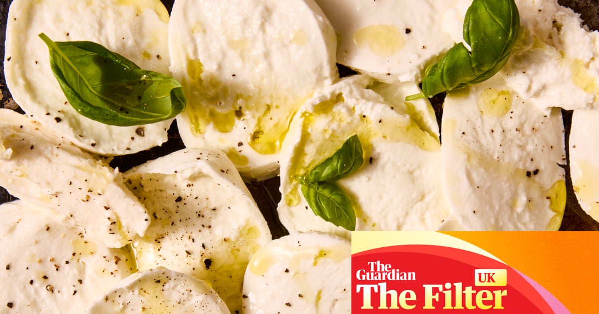 ‘Real heritage and quality’: the best (and worst) supermarket mozzarella di bufala Campana, tasted and rated