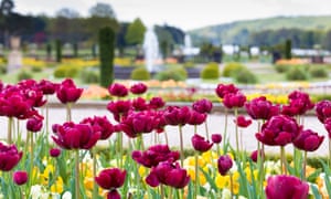 Trentham Gardens Bulb Festival