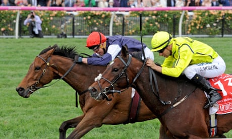 Melbourne Cup Sketch Even Winning Can Be A Half Empty Experience Melbourne Cup The Guardian Melbourne Cup 2022 Horses Picked
