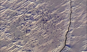 Close-up satellite image showing penguins in the snow around a foraging crack.