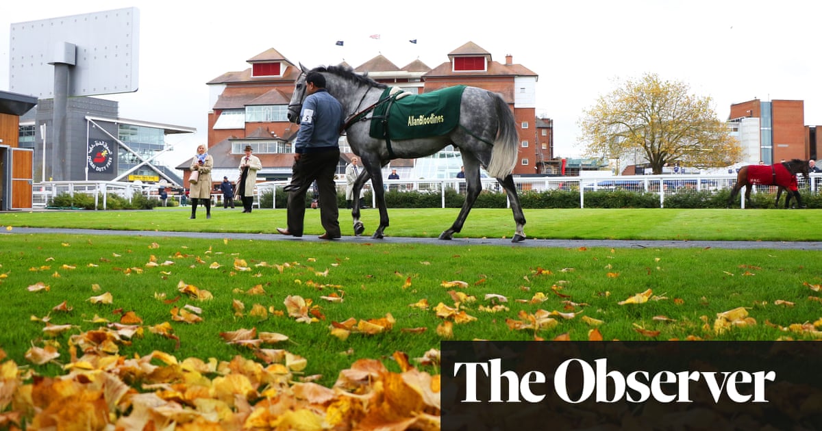 ‘As wet as I’ve known it’: racing hit by rain as new homes for big races sought