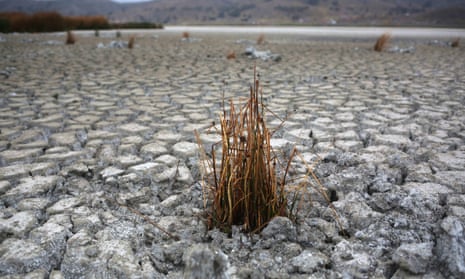 A view of dried reed plants on the parched soil of Lake Titicaca on Cojata Island, in Huarina, Bolivia, on 01 December 2023.
