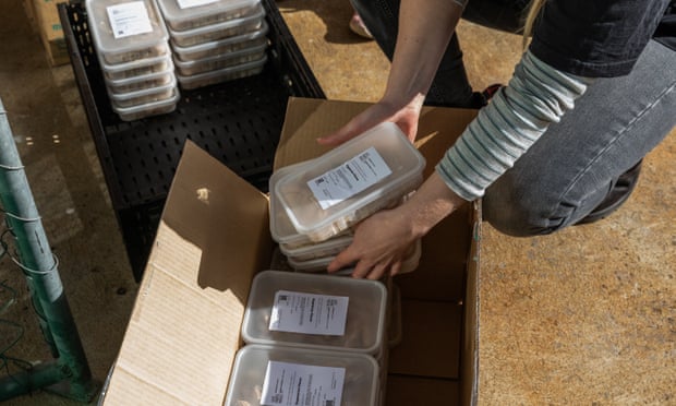 A charity worker packs food containers