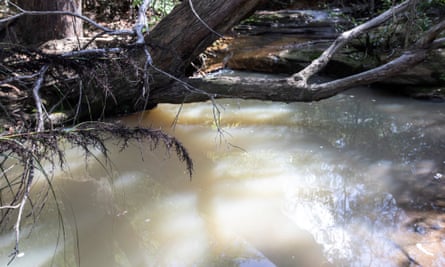 Curl Curl creek, which runs into Manly Dam, is muddy with sediment even a week after rain