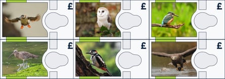 Design of banknotes.