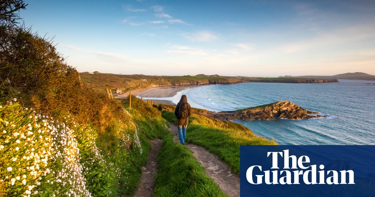 New life buzzes from all directions: why Pembrokeshire in spring is a nature-lover’s dream | Pembrokeshire holidays