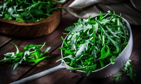 Take off like a rocket: wild or cultivated, arugula makes for spicy salad leaves
