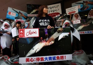 WildAid protest