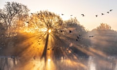 ‘I got up early and cycled along the river to near Bulcote, Nottinghamshire, hoping for some mist. A short while after, the sun hit the fields, mist began to form and then geese flew past, making a bright and interesting photo of the sunrise.’