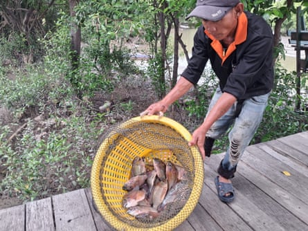 A man with a yellow basket containing blackchin tilapia fish