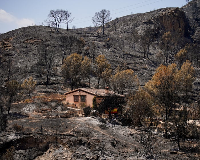 Seven Britons among 12 foreign nationals killed in Spain’s deadly wildfires