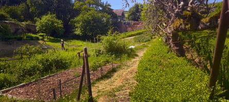 The walled garden at Ashley Court in Tiverton, Devon.