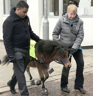 Mohammed Salim Patel with Digby and the animal’s trainer, Katy Smith.