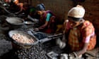 Crunch time for cashew nut lovers as wholesale costs soar