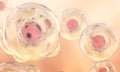 Embryonic stem cells