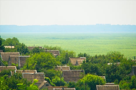 Houses look out on to a sea of green leaves