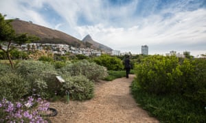 Green Point Park, Cape Town, South Africa.
