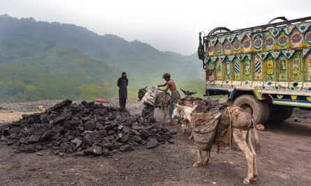 a mule and a large heap of coal