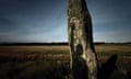 A still from A Year in a Field by Christoper Morris shows a stone in a field