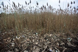 Plastic bottles and other debris gather on the banks of the Anacostia River in Washington DC. Plastic has now outstripped most other man-made materials.