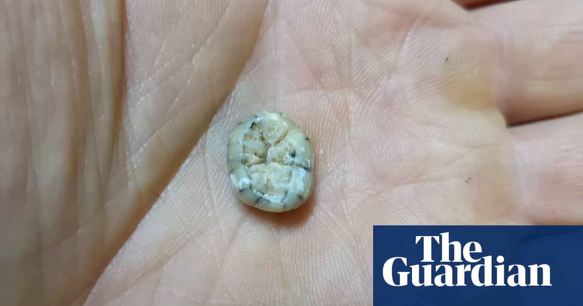 Child’s 130,000-year-old tooth could offer clues to extinct human relative