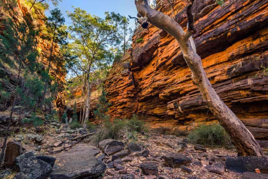 Alligator Gorge dans le parc national du mont Remarkable.  Flinders Ranges, Australie du Sud.