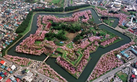Aerial photo of cherry blossom in Hakodate on Japan’s northern island of Hokkaido.
