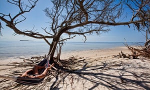 Woman lying in a hammock strung from an old Oak Tree that is right along the shoreline of a sandy beach