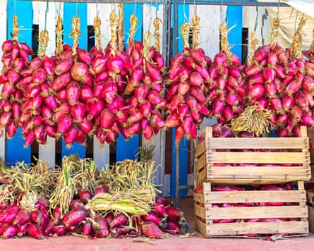 Pink onions against a blue and white background.