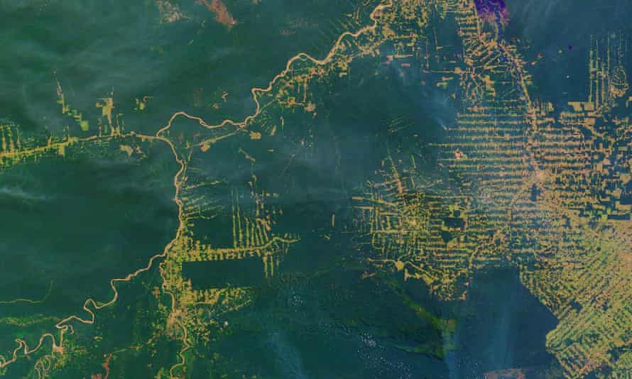 Esta vista aérea revela um padrão de desmatamento em 'espinha de peixe' no estado de Rondônia, no oeste do Brasil, que se tornou uma das partes mais desmatadas da Amazônia.