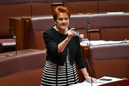 Pauline Hanson in the Senate last week.