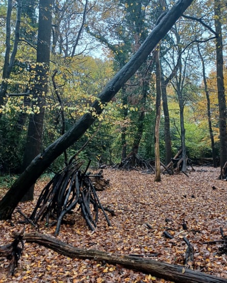 Sydenham Hill forest in south-east London