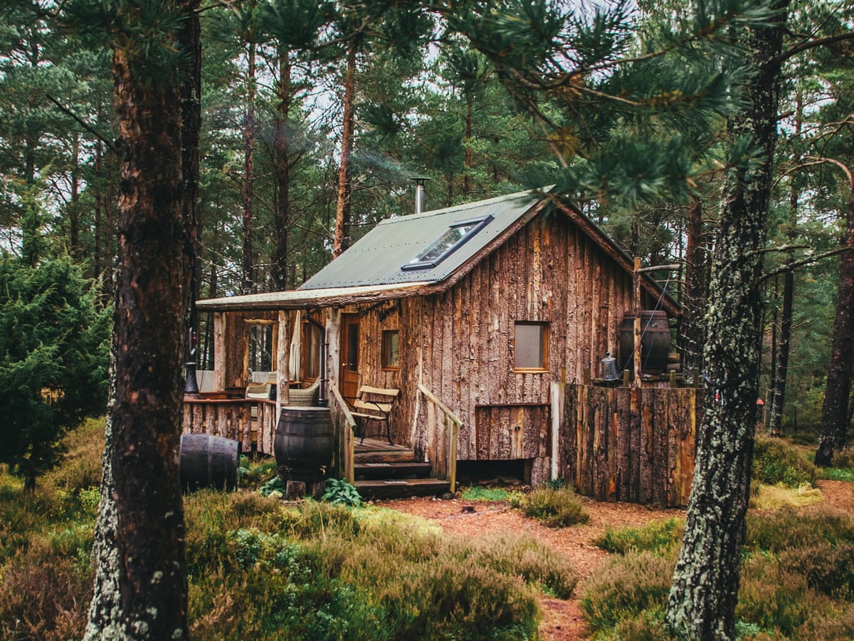 Home Forest Getaway: A Tranquil Retreat Amidst Nature Home Forest Getaway: A Tranquil Retreat Amidst Nature