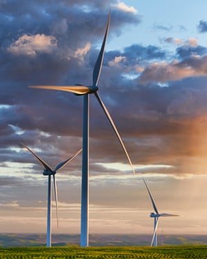 Wind turbines in wheat fields.