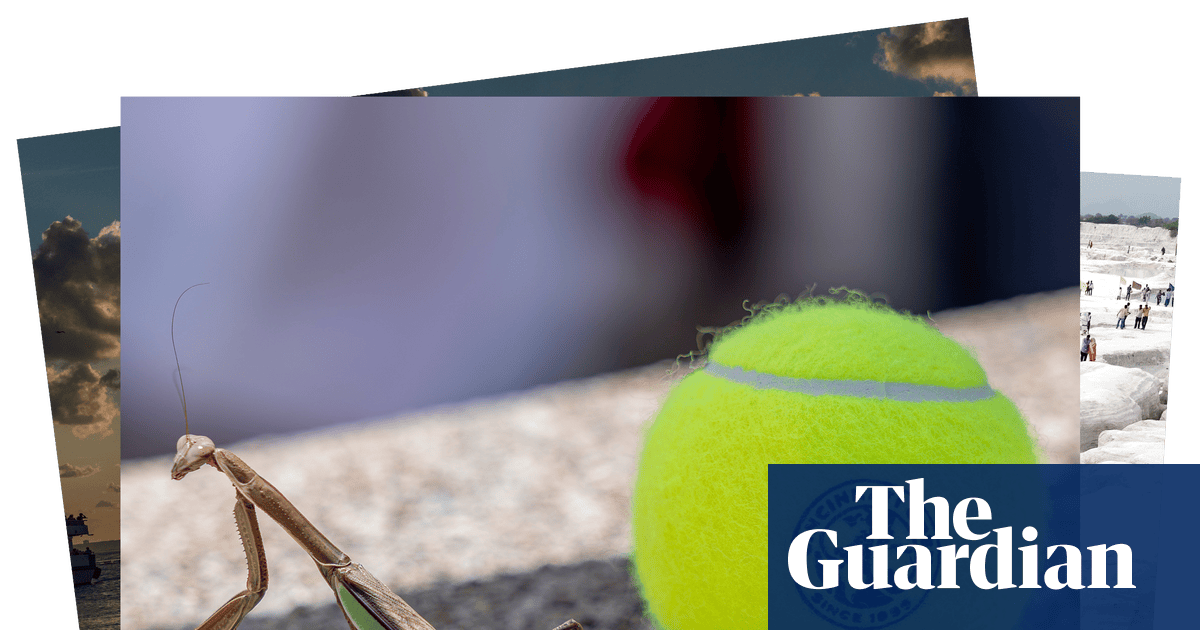 Marble dust mounds and a praying mantis: photos of the day